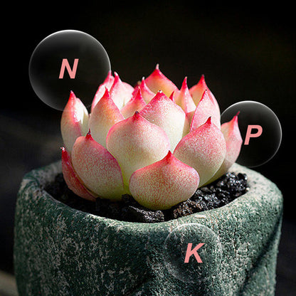 Langzaam vrijkomende meststof in tabletvorm voor planten