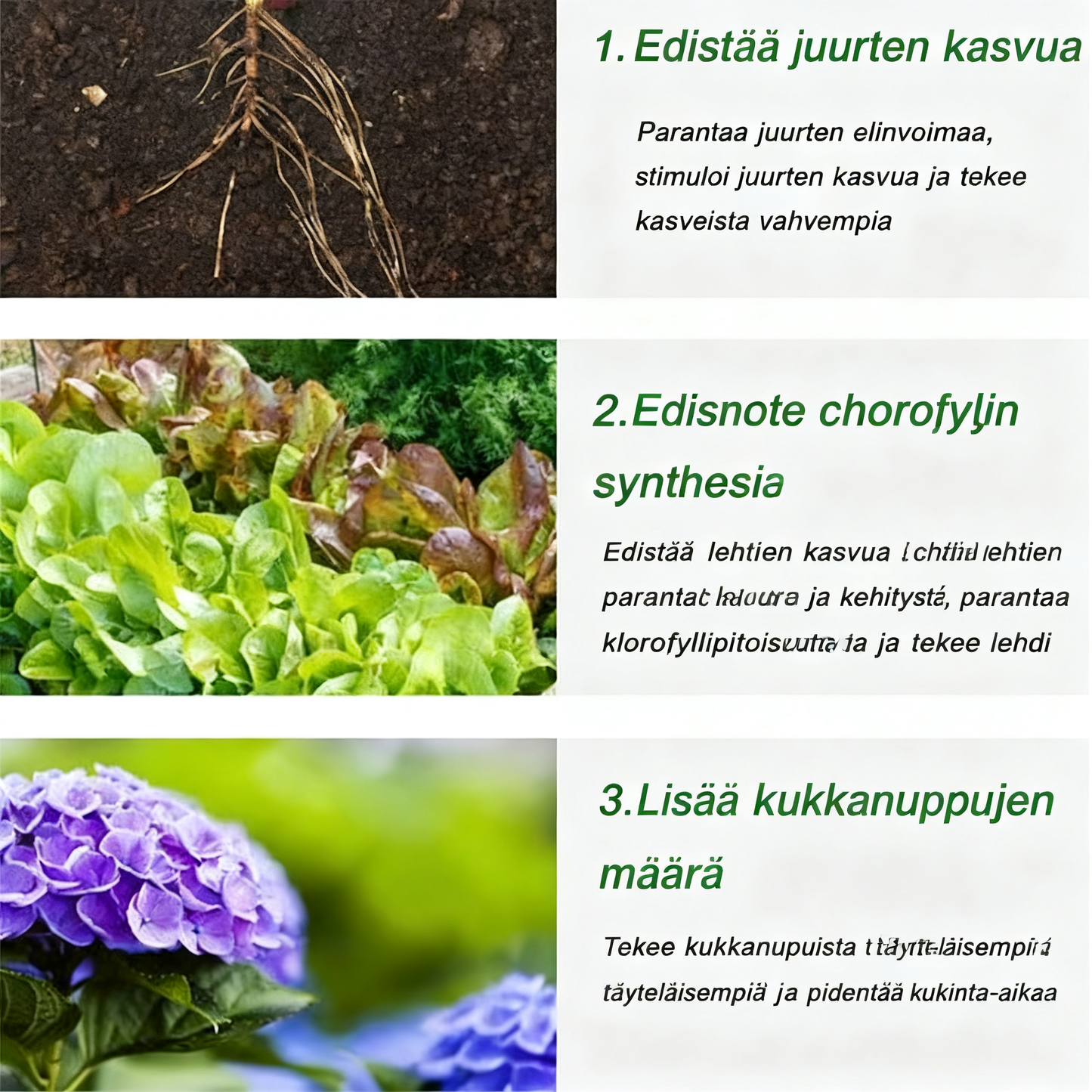 Langzaam vrijkomende meststof in tabletvorm voor planten